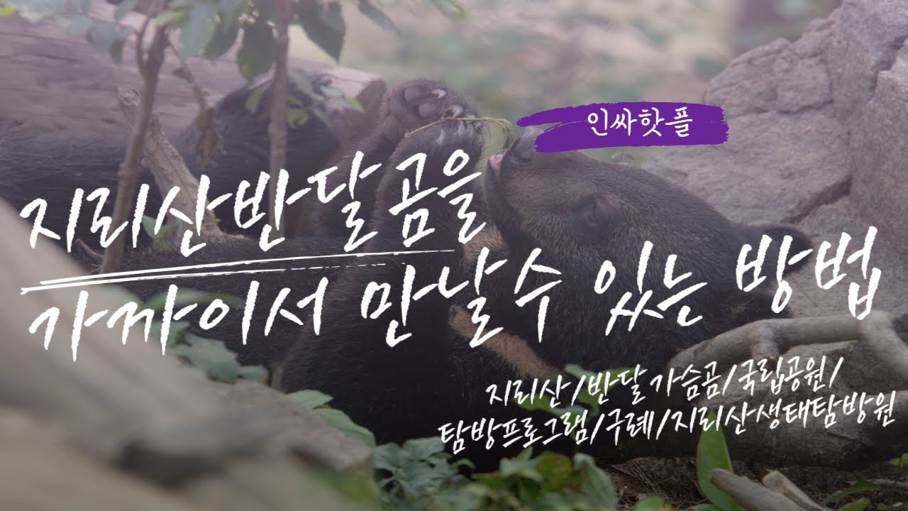 지리산반달곰을 가까이서 만날 수 있는 방법