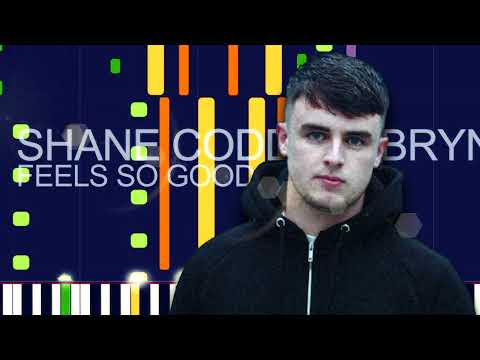 Shane Codd ft. Bryn Christopher - FEELS SO GOOD (PRO MIDI FILE REMAKE) - "in the style of"