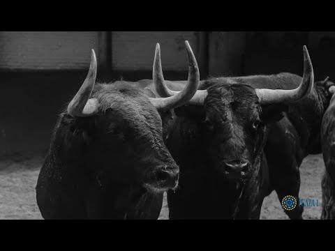 SORTEO | Corrida toros 20 mayo, Garcigrande