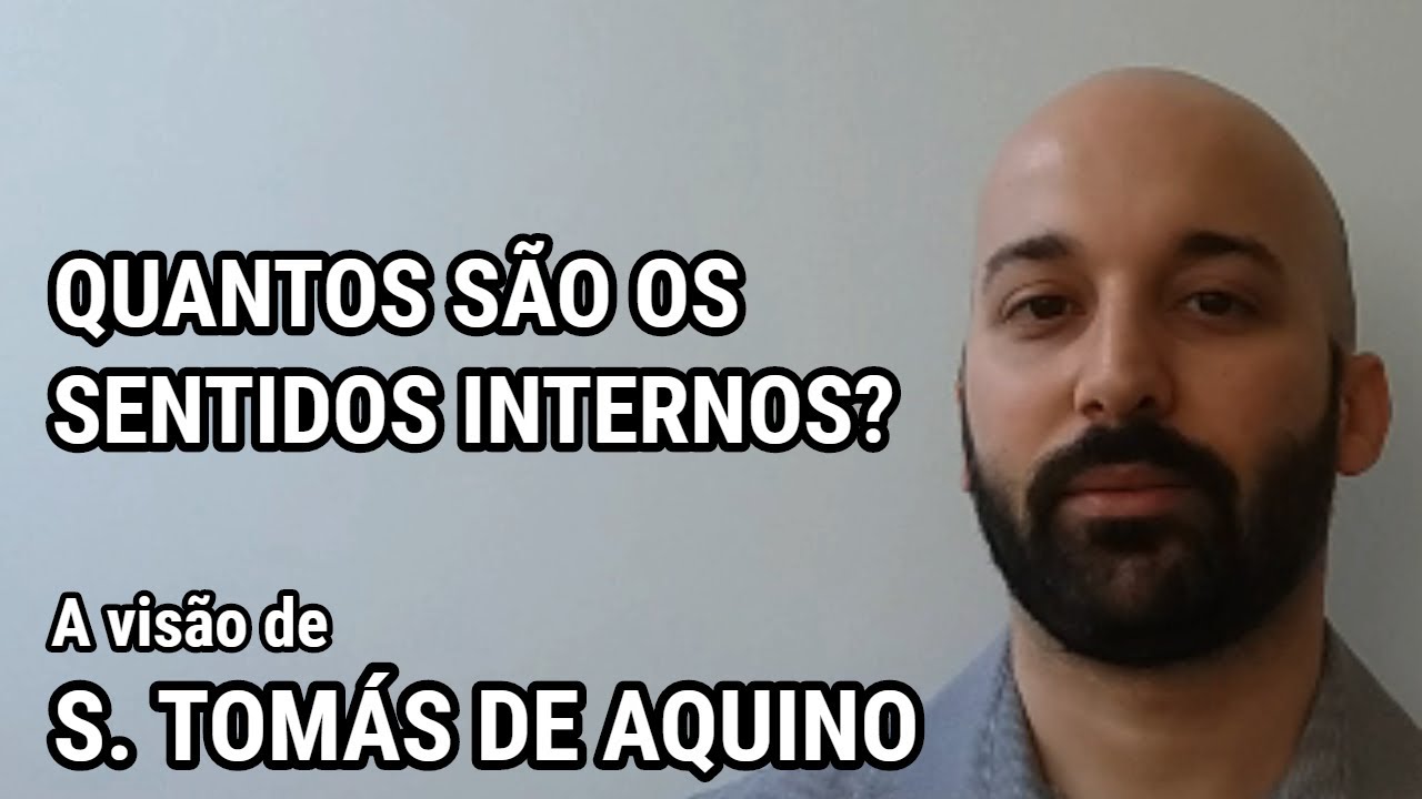 QUANTOS SÃO OS SENTIDOS INTERNOS? - A visão de São Tomás de Aquino