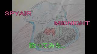 SPYAIR　MIDNIGHT　歌ってみた。