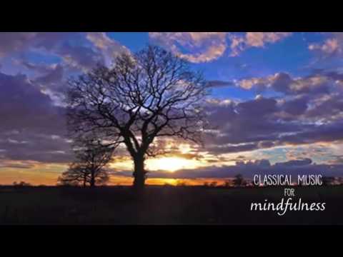 Classical Music for Mindfulness - Jonathan Price 'Rustin'