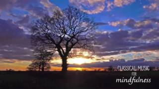 Classical Music for Mindfulness - Jonathan Price 'Rustin'