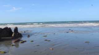 preview picture of video 'Praia de Peroba, Icapuí/CE'
