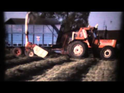 Loonw Persyn-Steelandt - Elverdinge