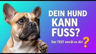 Weiß dein Hund wirklich was Fuß bedeutet? Der große Test