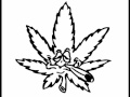 Road 2 Success Chopped&Skrewed - werd7111 Road 2 Success Chopped&Skrewed