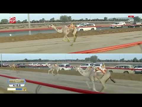 ش 1 كأس (بشاير) لـ سعيد جابر بن عبدالله محمد 8:50:38 ، ختامي المرموم 2026/03/25 إيذاع