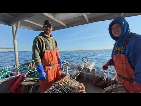 First Day of Halibut Fishing! | 2025 Halibut Longline Season
