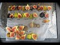 15 Fig Variety Taste Test & Comparison