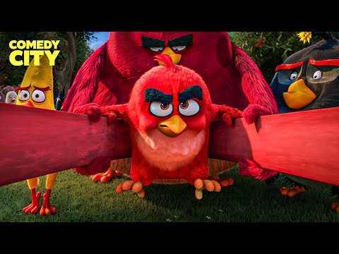 The Birds Attack the Pigs | The Angry Birds Movie (Jason Sudeikis, Josh Gad)