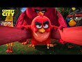 The Birds Attack The Pigs The Angry Birds Movie Jason Sudeikis Josh Gad