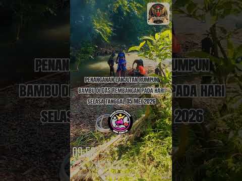 GREBEK RUMPUN BAMBU DAS REMBANGAN GOTONG ROYONG WARGA RW 16 – LINGKUNGAN LEBIH KOMPAK, SUNGAI LEBIH AMAN!