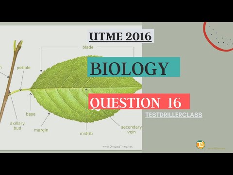 UTME 2016 Biology Question 16