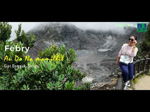FEBRY - AU DO NA MAMILLIT MIN ONE/KARAOKE (OFFICIAL AUDIO)