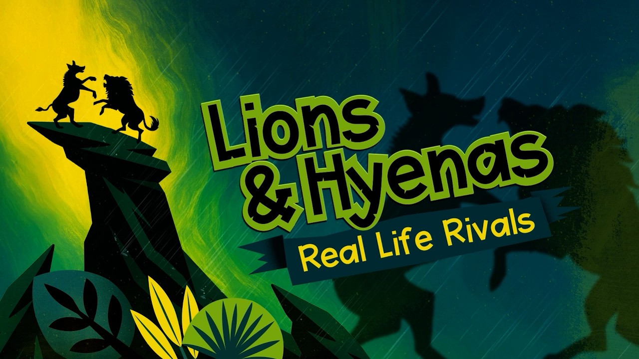 Hyenas vs Lions