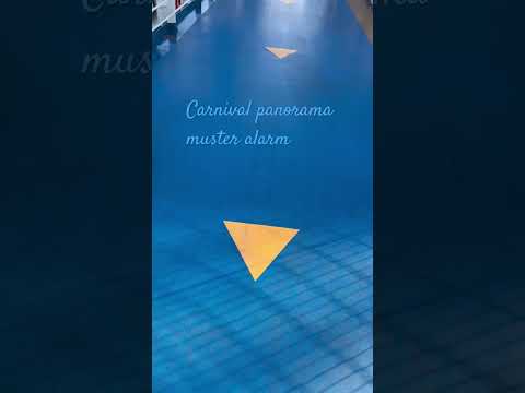 Thumbnail for #cruiseship #choosefun