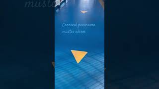 #cruiseship #choosefun