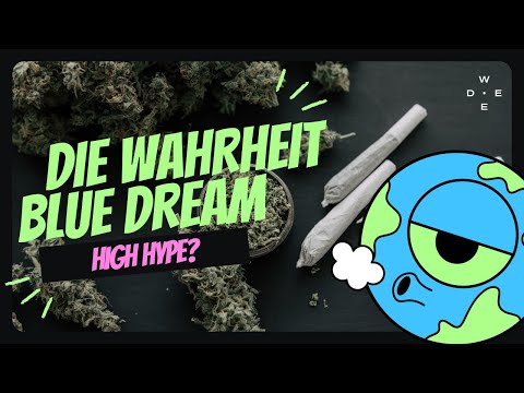 Blue Dream – Legende oder nur Hype? 🌿💙