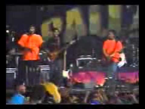 berkelana   soliq palapa