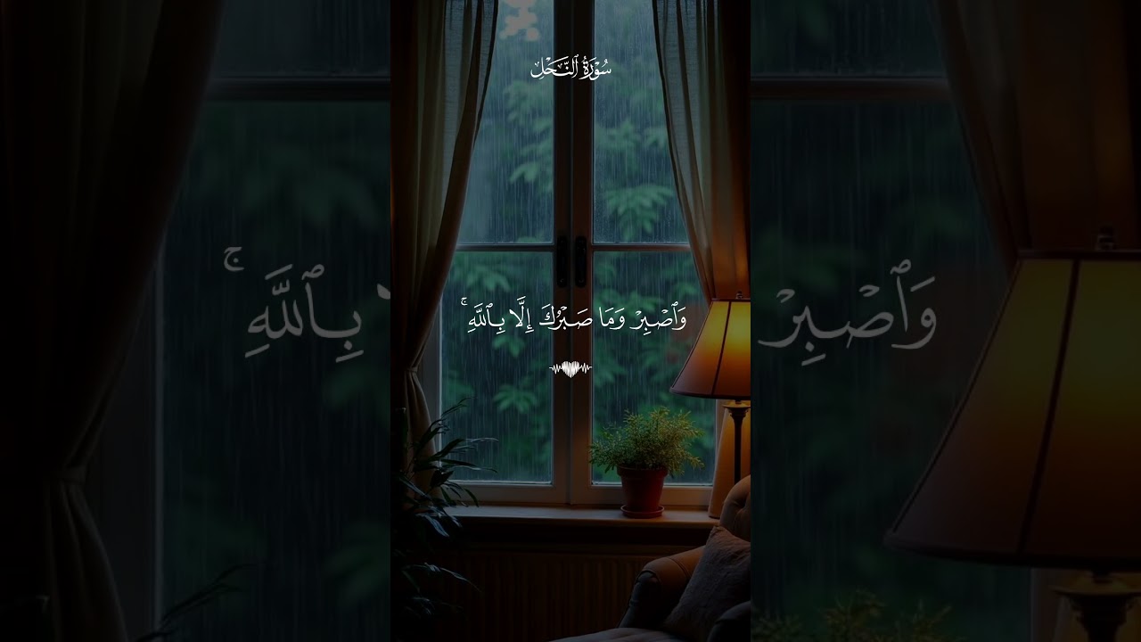 "علاج القلق والضيق في هذه التلاوة الرائعة من سورة النحل"
