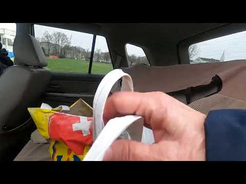 Crows dominate the field while Stanley scours the field for mice!