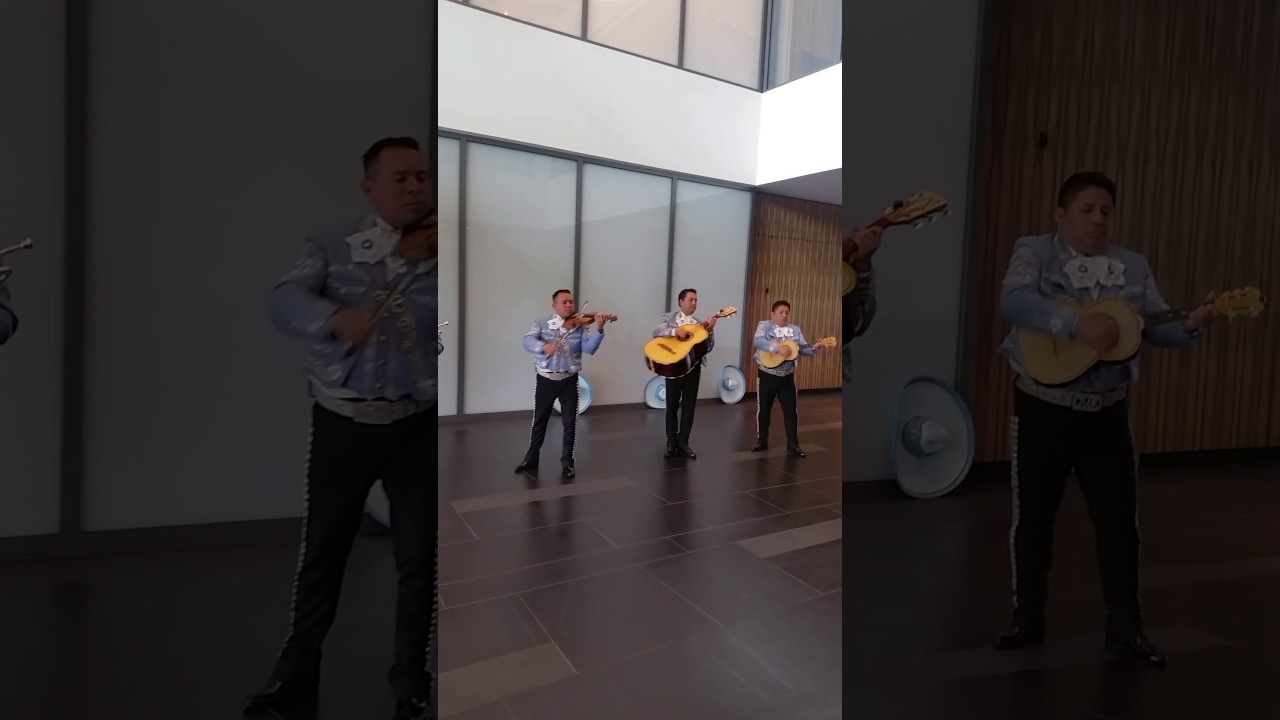 Promotional video thumbnail 36 for Mariachi Nuevo Mexico