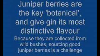 How gin is made: Beefeater distillery, London