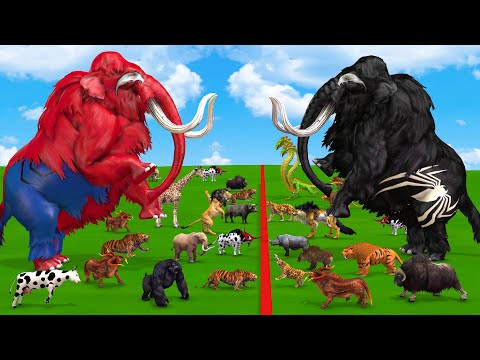 10 Spider Mammoth Elpehant vs Prehistoric Mammals vs White Albino Animals Size Comparison