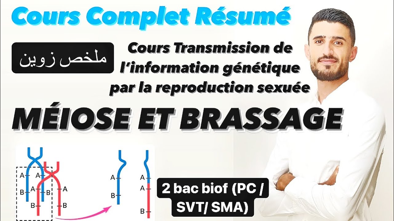 Cours complet :Transmission de l’information génétique par la reproduction sexuée /Méiose / Brassage