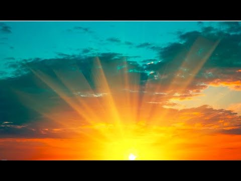 Enjoy It While You Can