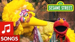 Sesame Street: The Song About Hair, Feathers, and Fur!