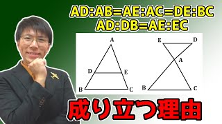 【中学数学】三角形と比～分かりやすく丁寧に証明～ 5-3