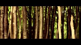 Massendefekt | Tanz im Nebel (Trailer)