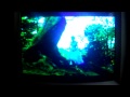 Alice In Wonderland Alice Falls Down The Rabbit Hole
