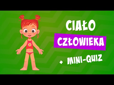 Ciało człowieka | Budowa ciała człowieka dla dzieci