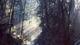 "Lonsome Words" - Gruff Rhys