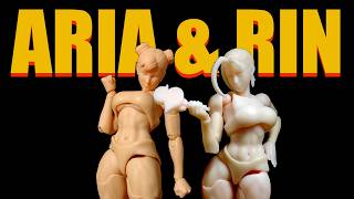 Ep903 Whale Works Aria & Rin 1/12 female base bodies REVIEW