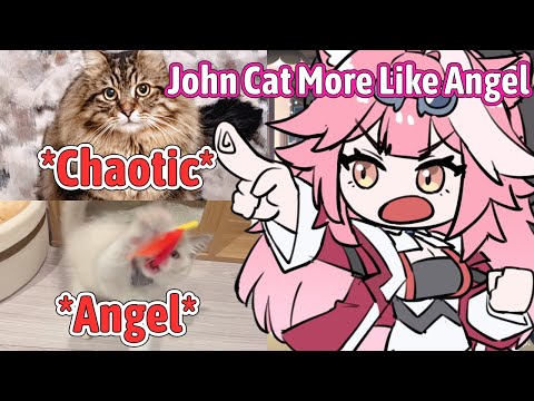 Raora Mamma Compares Between Bubi Behavior With John Cat【Hololive EN】 Raora Mamma Compares Between Bubi Behavior With John Cat【Hololive EN】