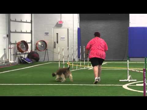 Eastman OpenP JWW JAG in Branchburg NJ 080413