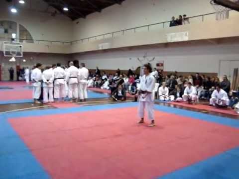 Torneo Metropolitano 2011