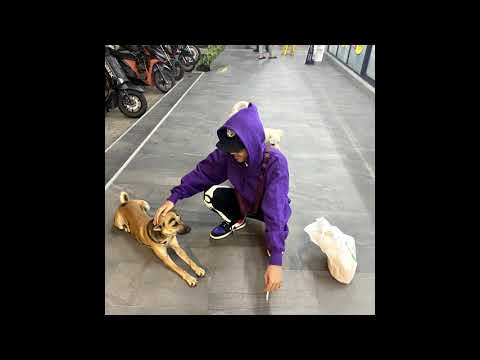 1PEN - อย่ายอมแพ้ (Don't give up) [DEMO]