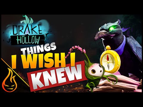 Beginner Tips And Tricks Drake Hollow