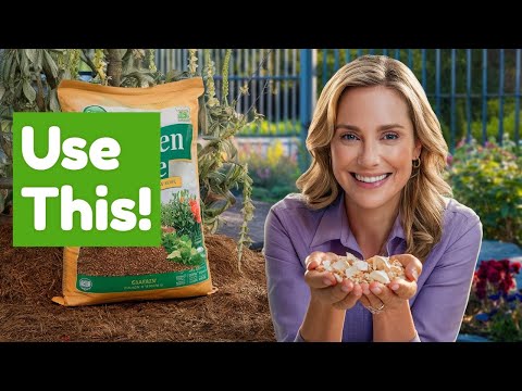 Mulch Magic Transform Your Garden With Eggshells