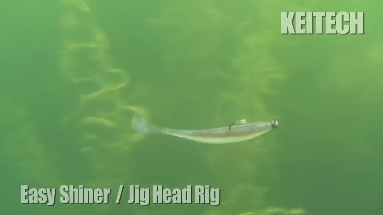 Keitech Easy Shiner 5 guminukas Keitech Easy Shiner 5 guminukas