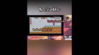 自分との闘い【スーパーマリオアドバンス/Super Mario U.S.A】