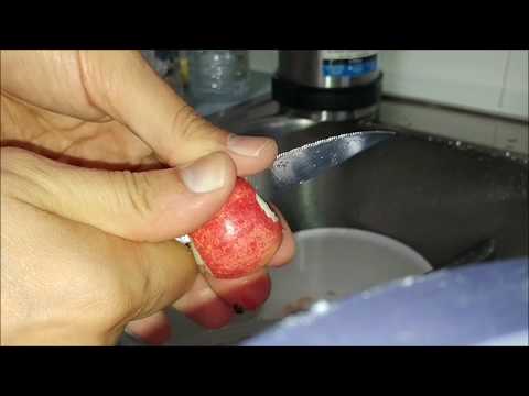 download lagu mp3 mp4 Crabapple Drink, download lagu Crabapple Drink gratis, unduh video klip Crabapple Drink