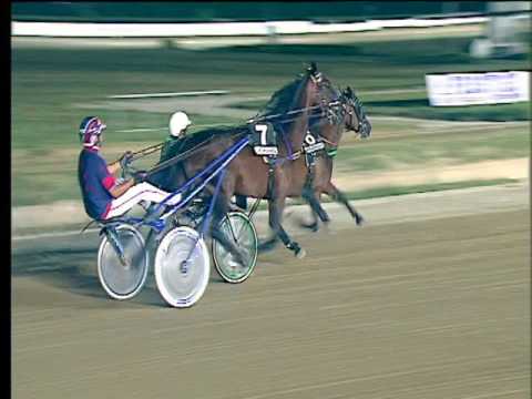 Trotto 05/08/2017 - 5ª corsa