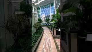 I didn't expect a park like this on a boat #cruise #harmonyoftheseas