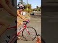Girl On Roadcycling Cyclist Bike Cycle Roadbike Bikelife Bikerchic Bicycle Cyclinglife